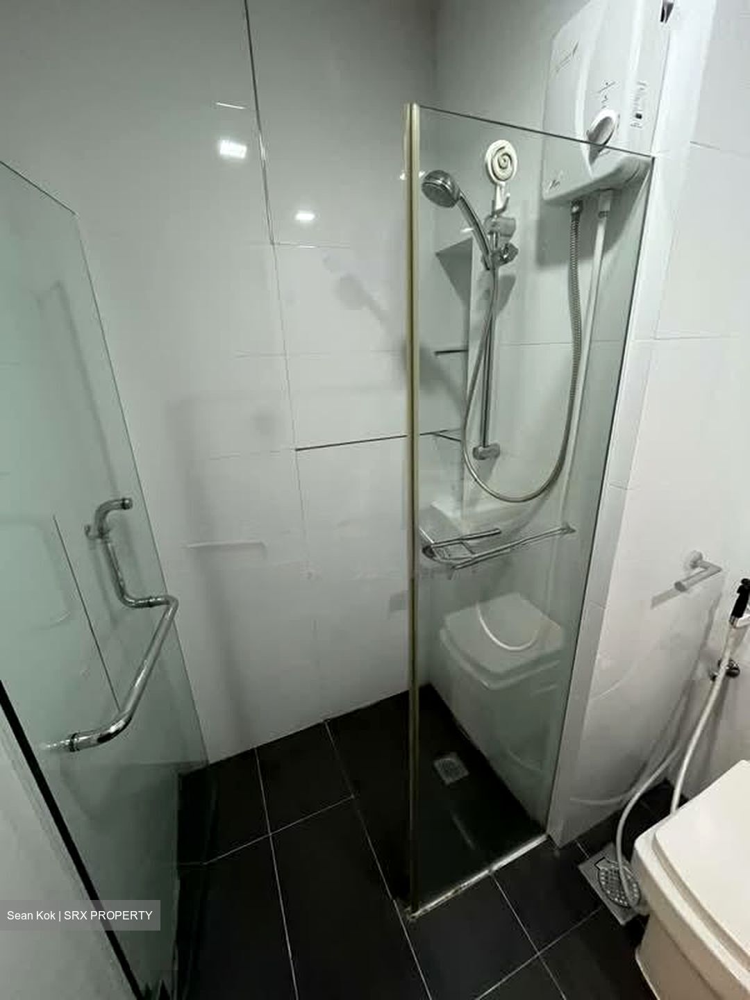Silverscape (D14), Apartment #573568171